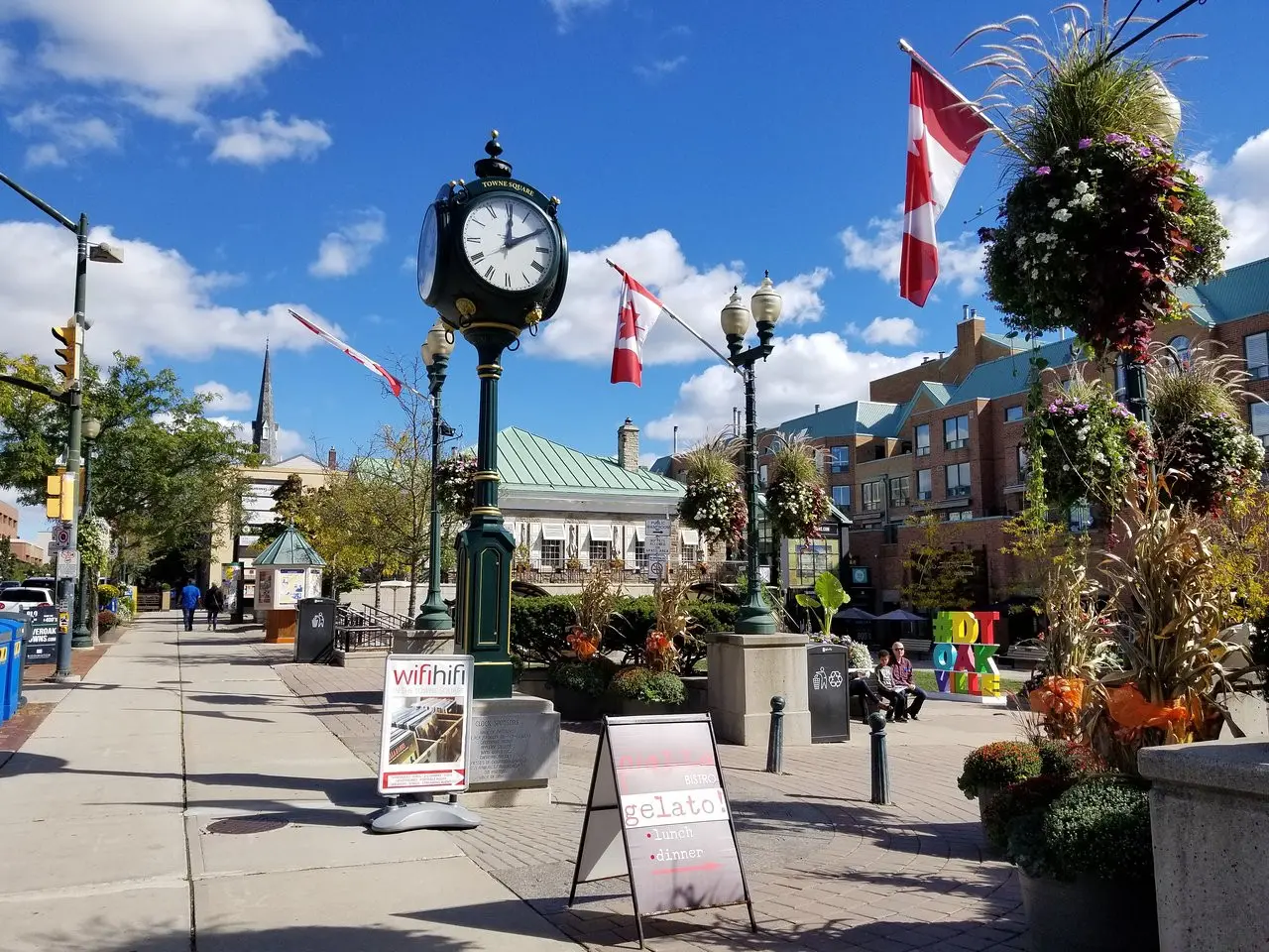 <p><strong>Fast Junk Removal Services in Oakville</strong></p>